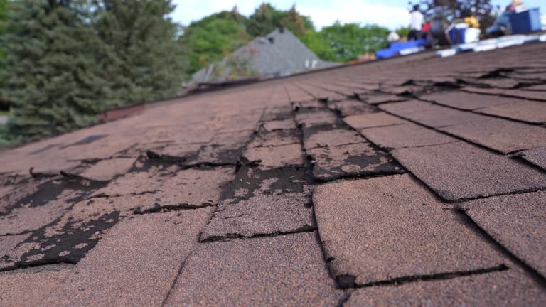 Best Roof Maintenance and Cleaning  in Standish, MI