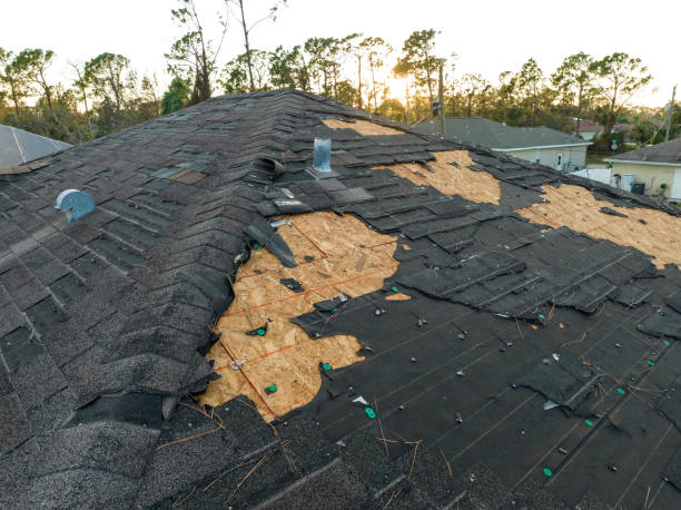 Best Emergency Roof Repair Services  in Standish, MI